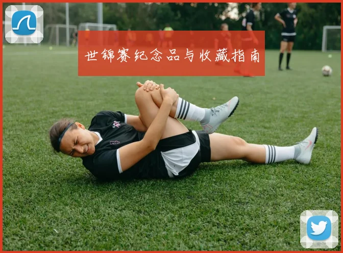 世锦赛纪念品与收藏指南